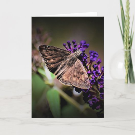 バタフライカード カード (正面)