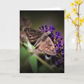 バタフライカード カード (黄色い花)