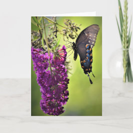 バタフライカード カード