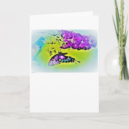 バタフライカード カード (正面)