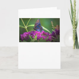 バタフライカード カード