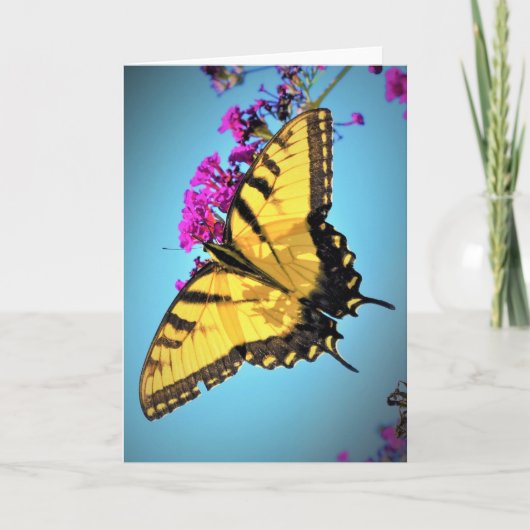 バタフライカード カード (正面)
