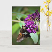 バタフライカード カード (黄色い花)