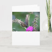 バタフライカード カード (正面)