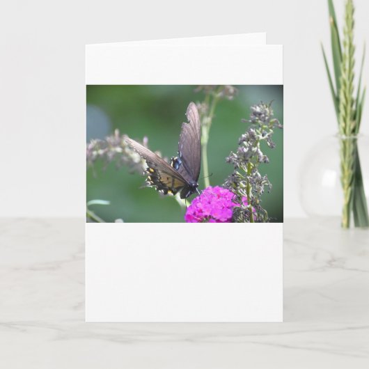 バタフライカード カード (正面)