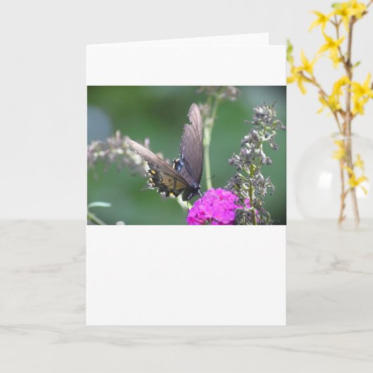 バタフライカード カード (黄色い花)