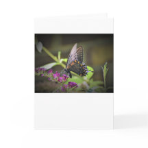 バタフライカード