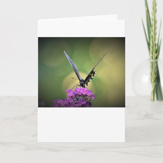 バタフライカード カード (正面)