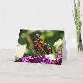 バタフライカード カード (正面)