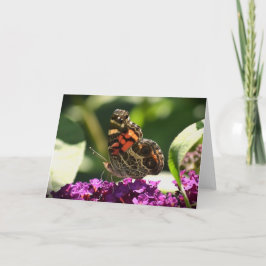 バタフライカード カード