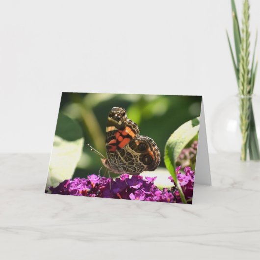 バタフライカード カード (正面)