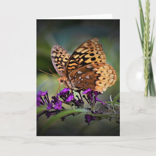 バタフライカード カード (正面)