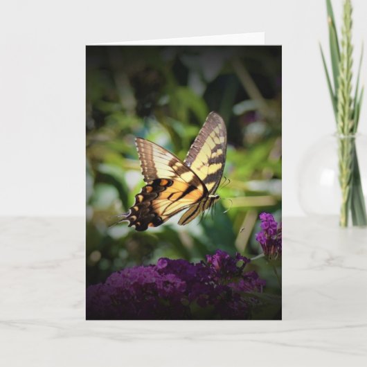 バタフライカード カード (正面)