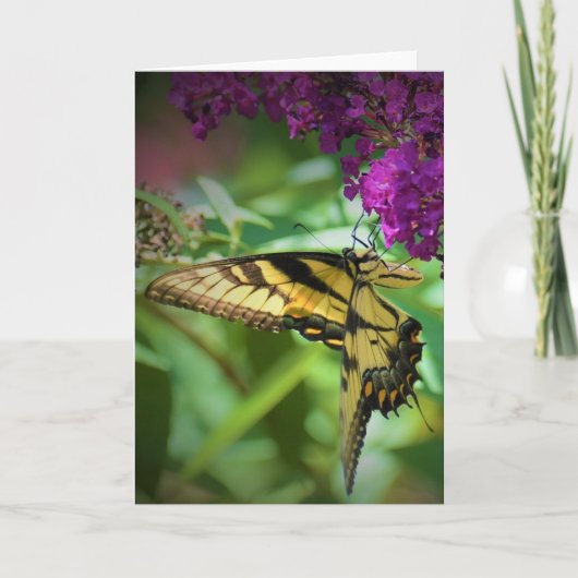 バタフライカード カード (正面)