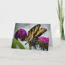 バタフライカード カード