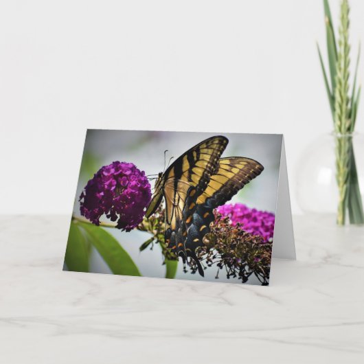 バタフライカード カード (正面)