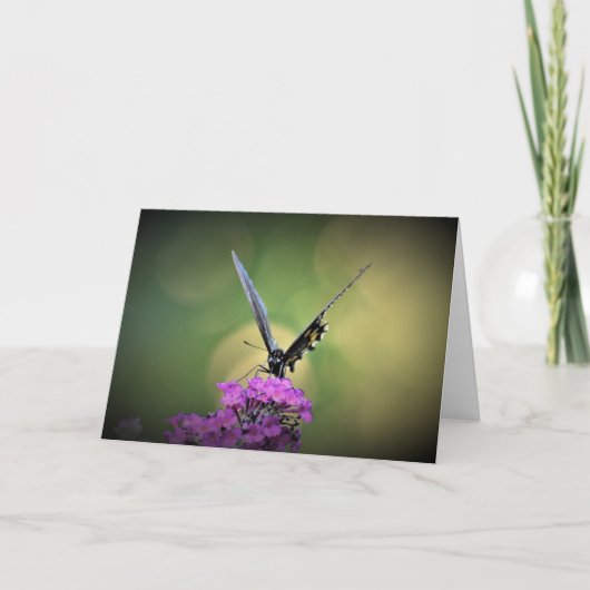 バタフライカード カード (正面)