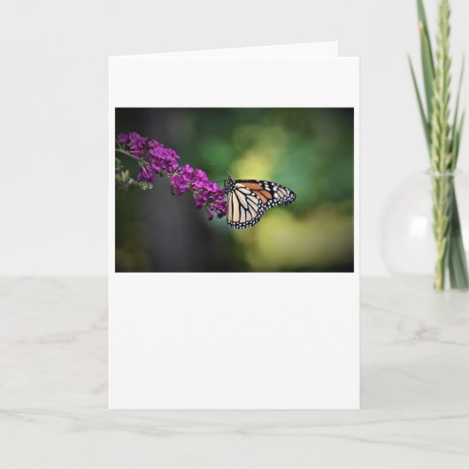 バタフライカード カード (正面)