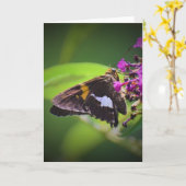 バタフライカード カード (黄色い花)