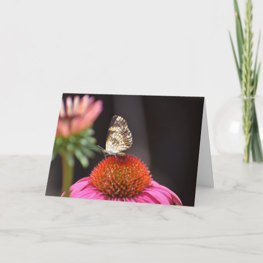 バタフライカード カード (正面)