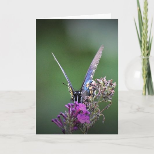 バタフライカード カード (正面)