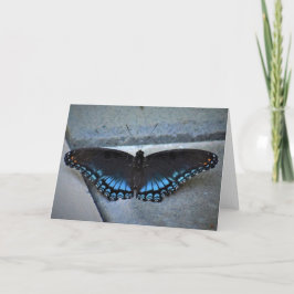 バタフライカード カード