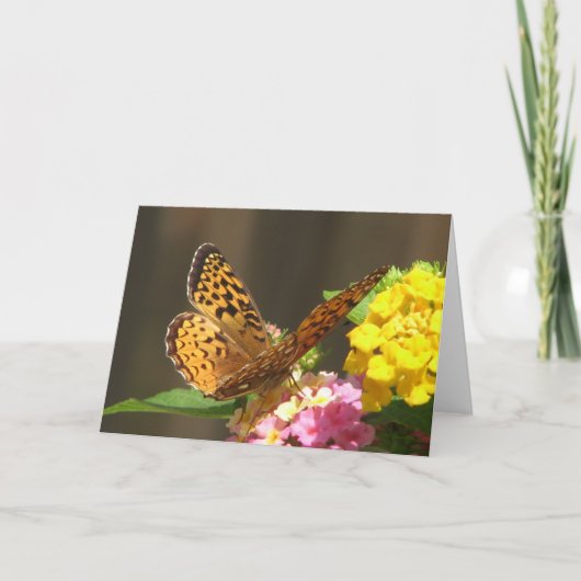 バタフライカード カード (正面)