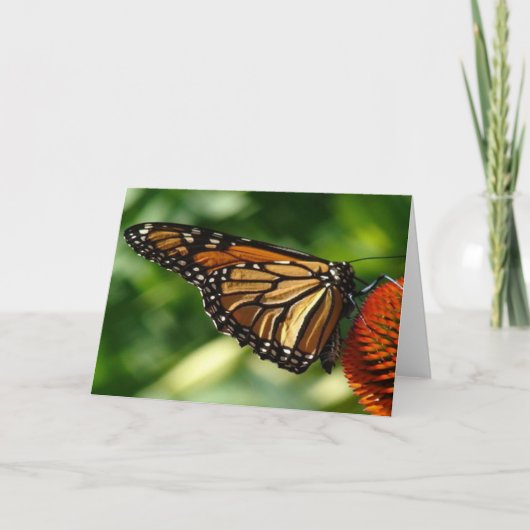 バタフライカ空白のード カード (正面)