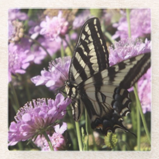 バタフライガラスのコースター ガラスコースター (正面)