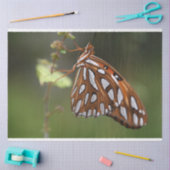 バタフライガルフフリッチャリーパッションオレンジグリーン 薄葉紙 (クラフト)