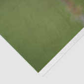 バタフライガルフフリッチャリーパッションオレンジグリーン 薄葉紙 (詳細)