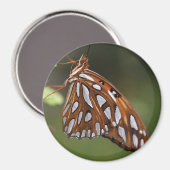 バタフライガルフフリティラリーのパッションオレンジスポッテッド マグネット (正面/裏面)