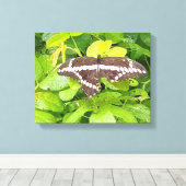 バタフライガーデンキャンバスプリント キャンバスプリント (インサイチュ (ウッドフロア))