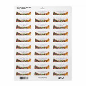 バタフライガーデンベビーシャワー差出人住所 ラベル (フルシート)