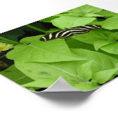 バタフライガーデン6 ポスター (角)