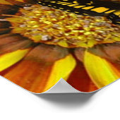 バタフライガーデン ポスター (角)