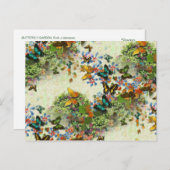 バタフライガーデンPC5デザイン ポストカード (正面/裏面)