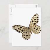 バタフライキッズ物 ポストカード (正面/裏面)