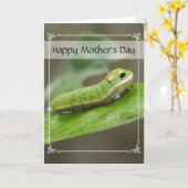 バタフライキャタピラ幼生 カード (黄色い花)