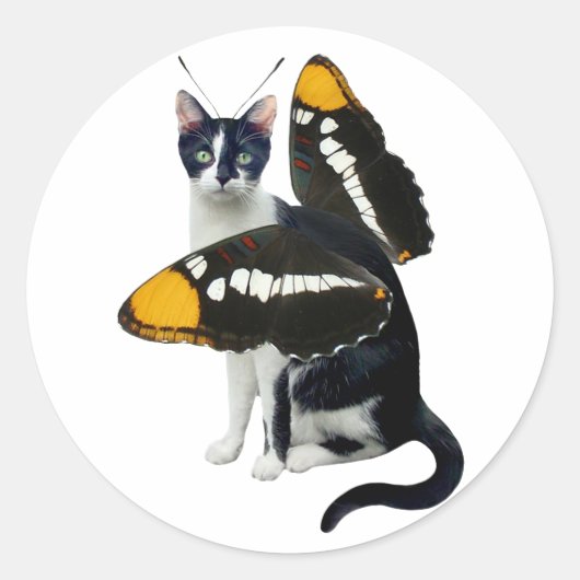 バタフライキャットシール ラウンドシール (正面)