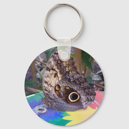 バタフライキーチェーン キーホルダー (正面)