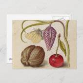 バタフライクルミ花さくらんぼ水彩アート ポストカード (正面/裏面)