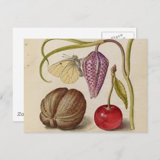 バタフライクルミ花さくらんぼ水彩アート ポストカード (正面/裏面)