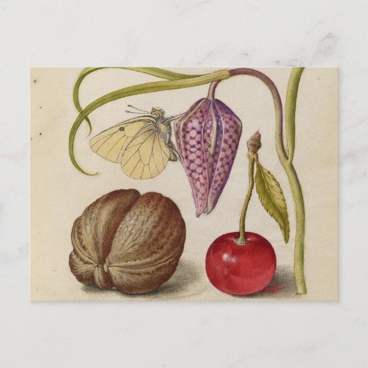 バタフライクルミ花さくらんぼ水彩アート ポストカード (正面)