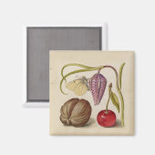 バタフライクルミ花さくらんぼ水彩アート マグネット (正面/裏面)