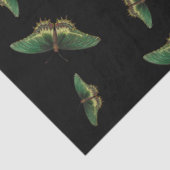 バタフライグリーンヴィンテージデコファージ 薄葉紙 (詳細)