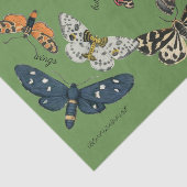 バタフライグリーン18 lbティッシュペーパー 薄葉紙 (詳細)