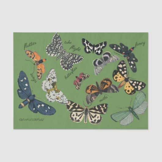 バタフライグリーン18 lbティッシュペーパー 薄葉紙 (正面)