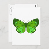 バタフライグリーン ポストカード (正面/裏面)