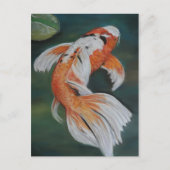 バタフライコイフィッシュアートハガキ ポストカード (正面)